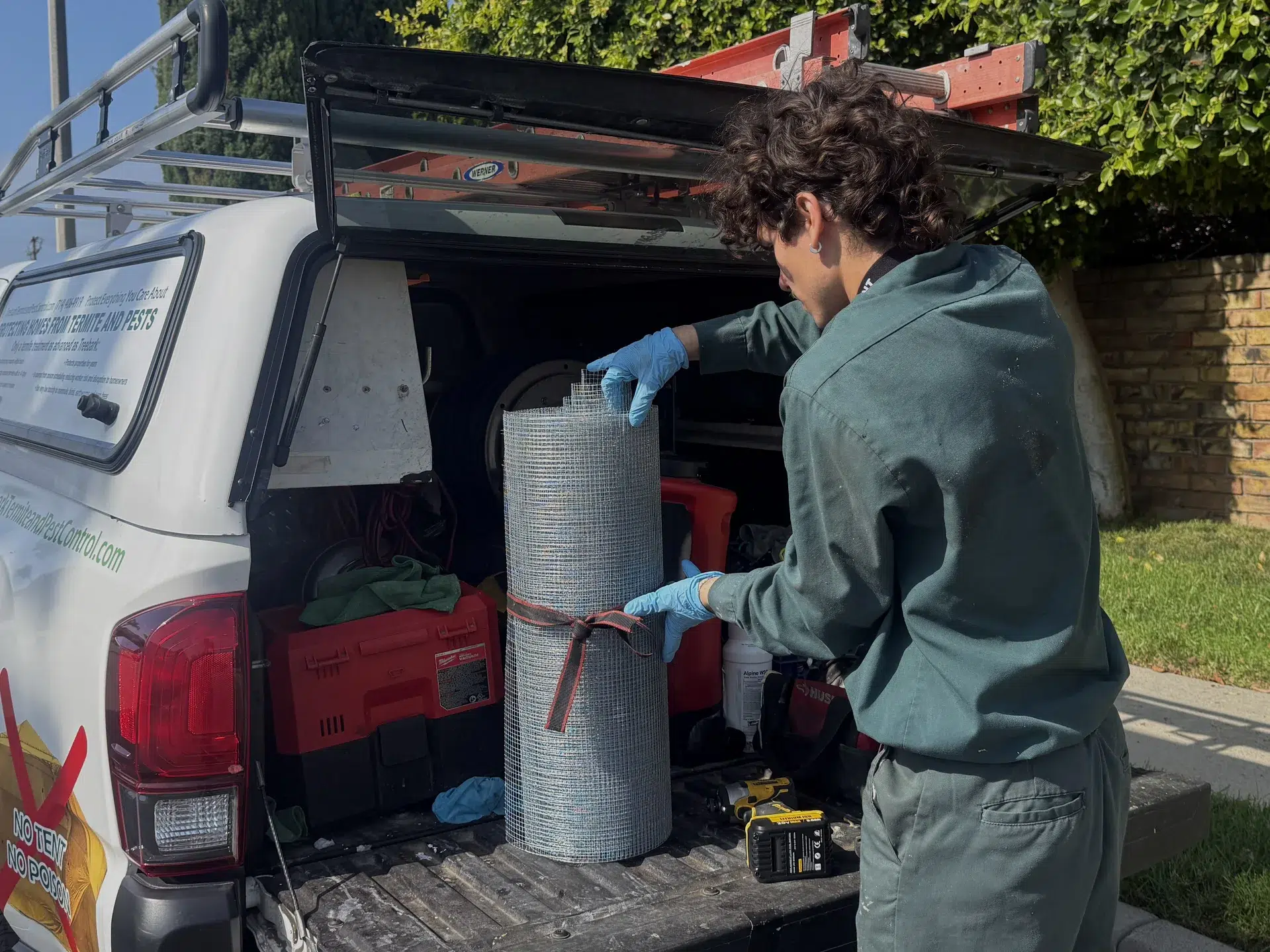 Treebark Kenzie service visit in Pacific Palisades