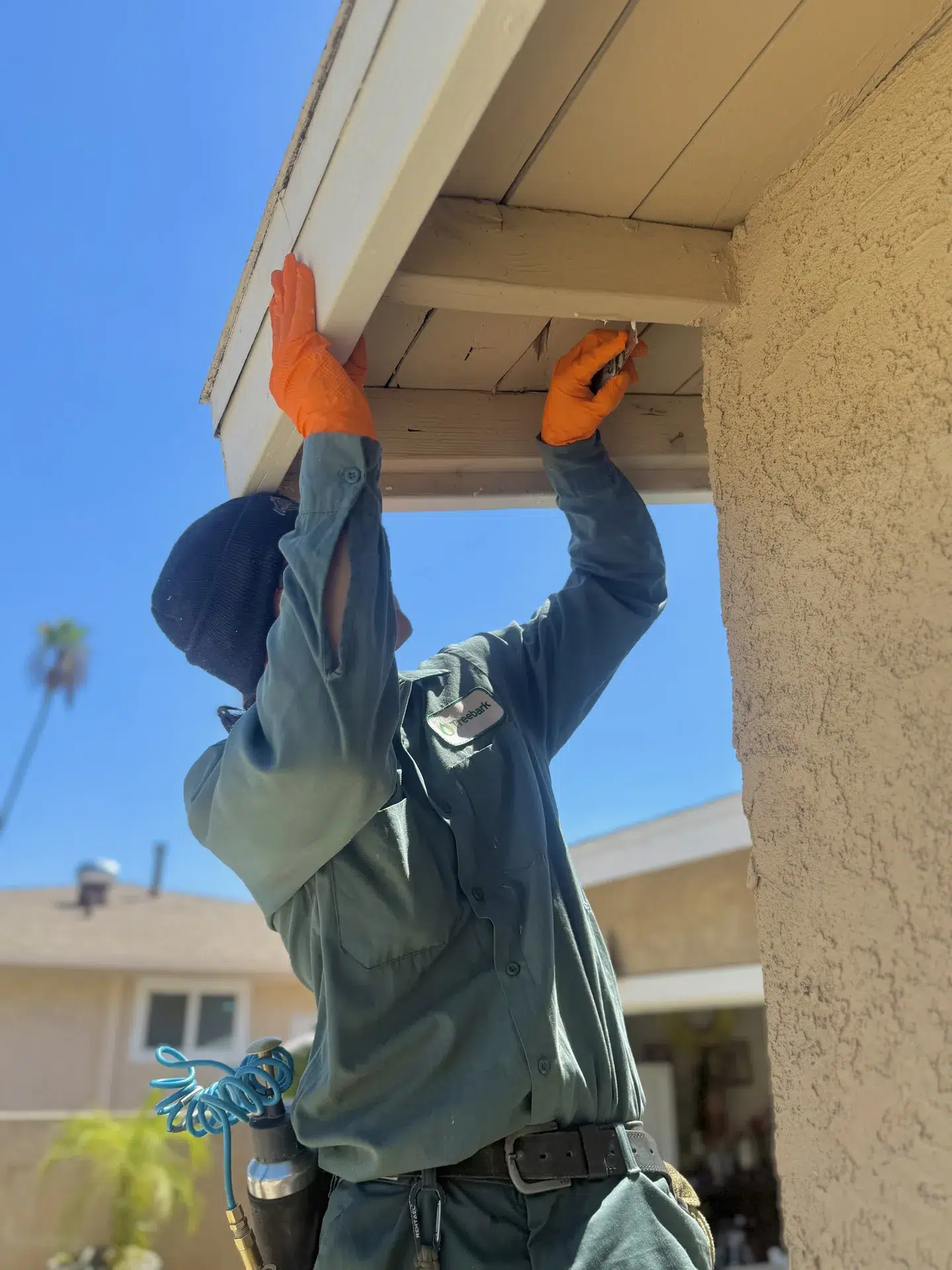 Walnut CA Treebark technician pest control service