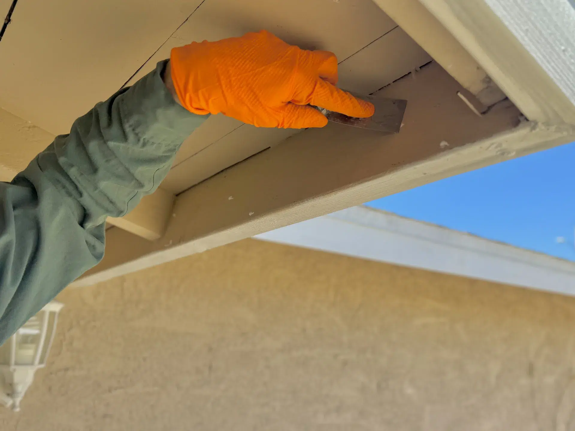 Walnut CA Treebark technician pest control service