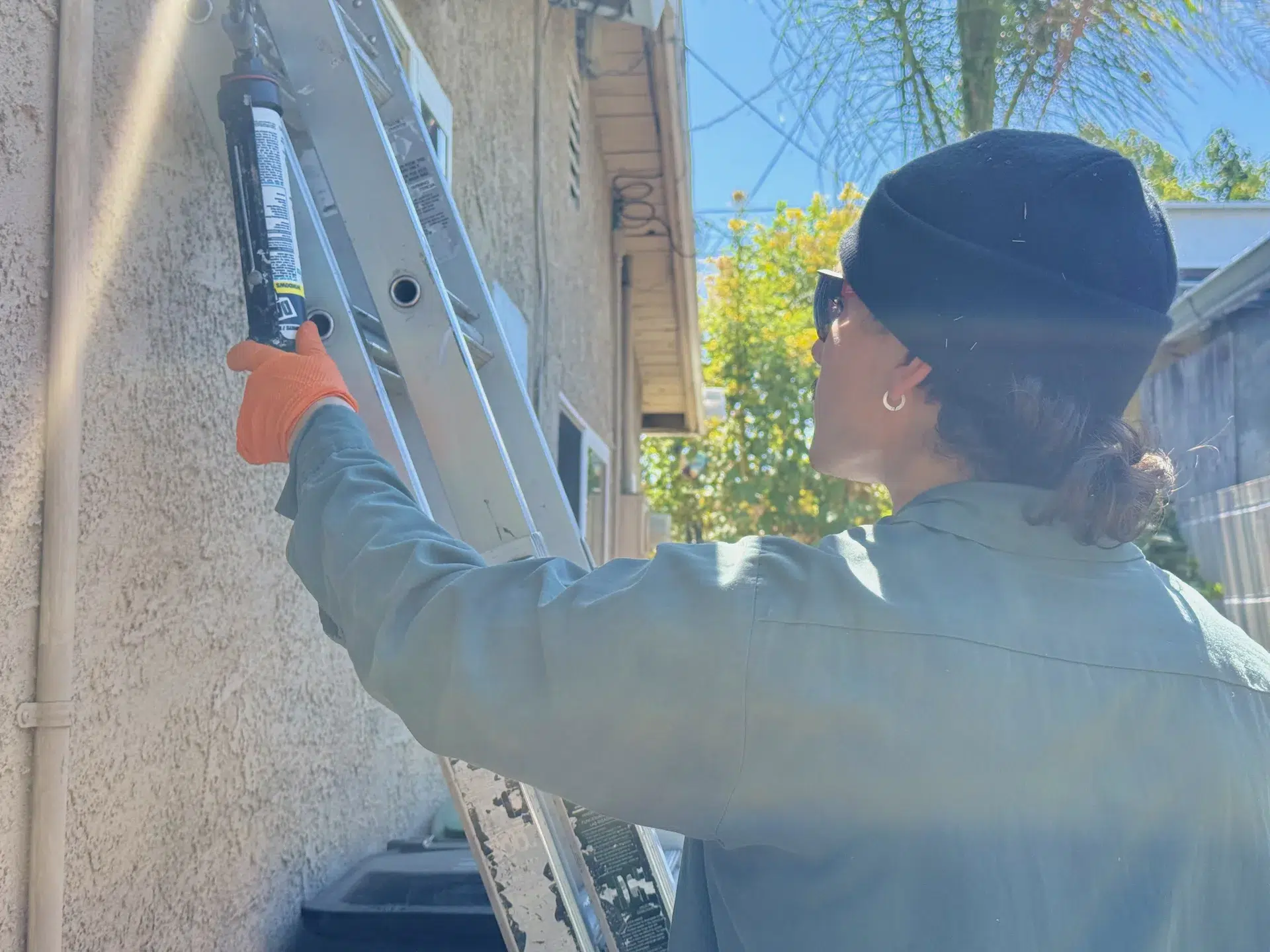 Treebark Kenzie termite treatment at Manhattan Beach home
