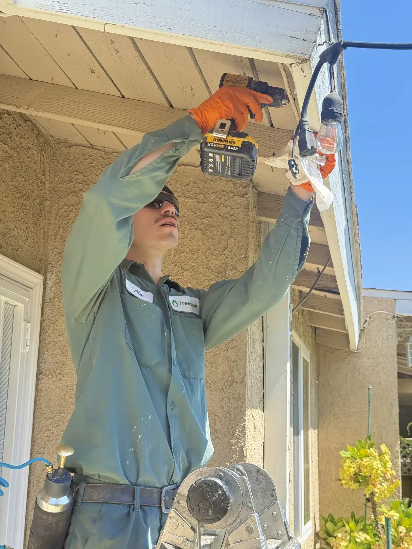 Treebark Kenzie termite inspection in Manhattan Beach