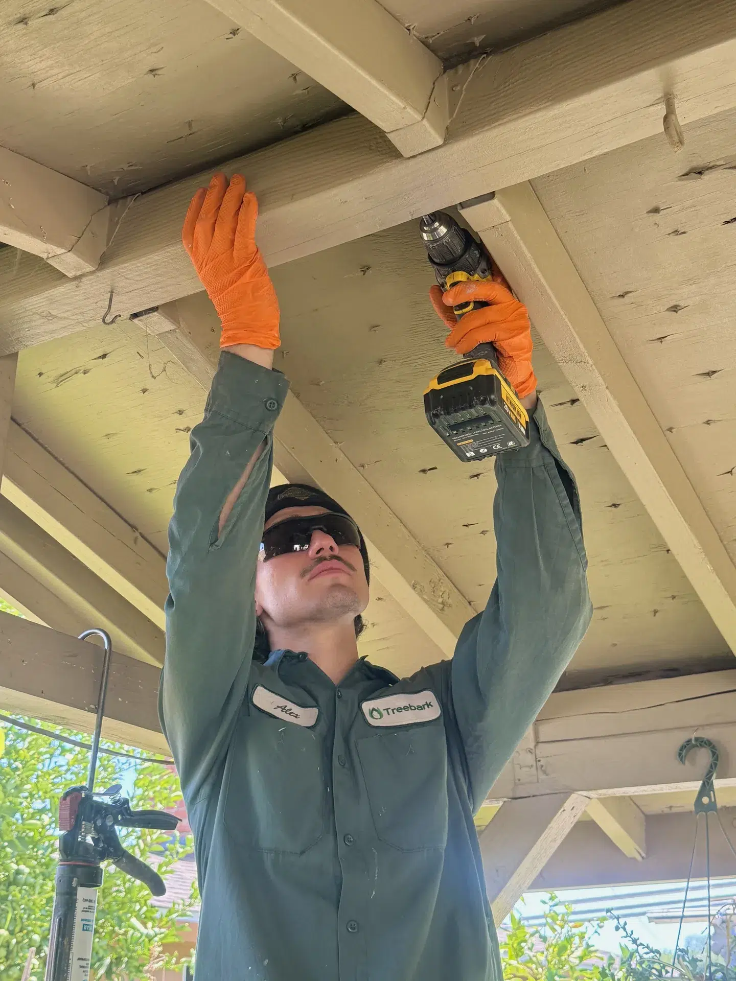 Treebark Kenzie termite treatment in Manhattan Beach