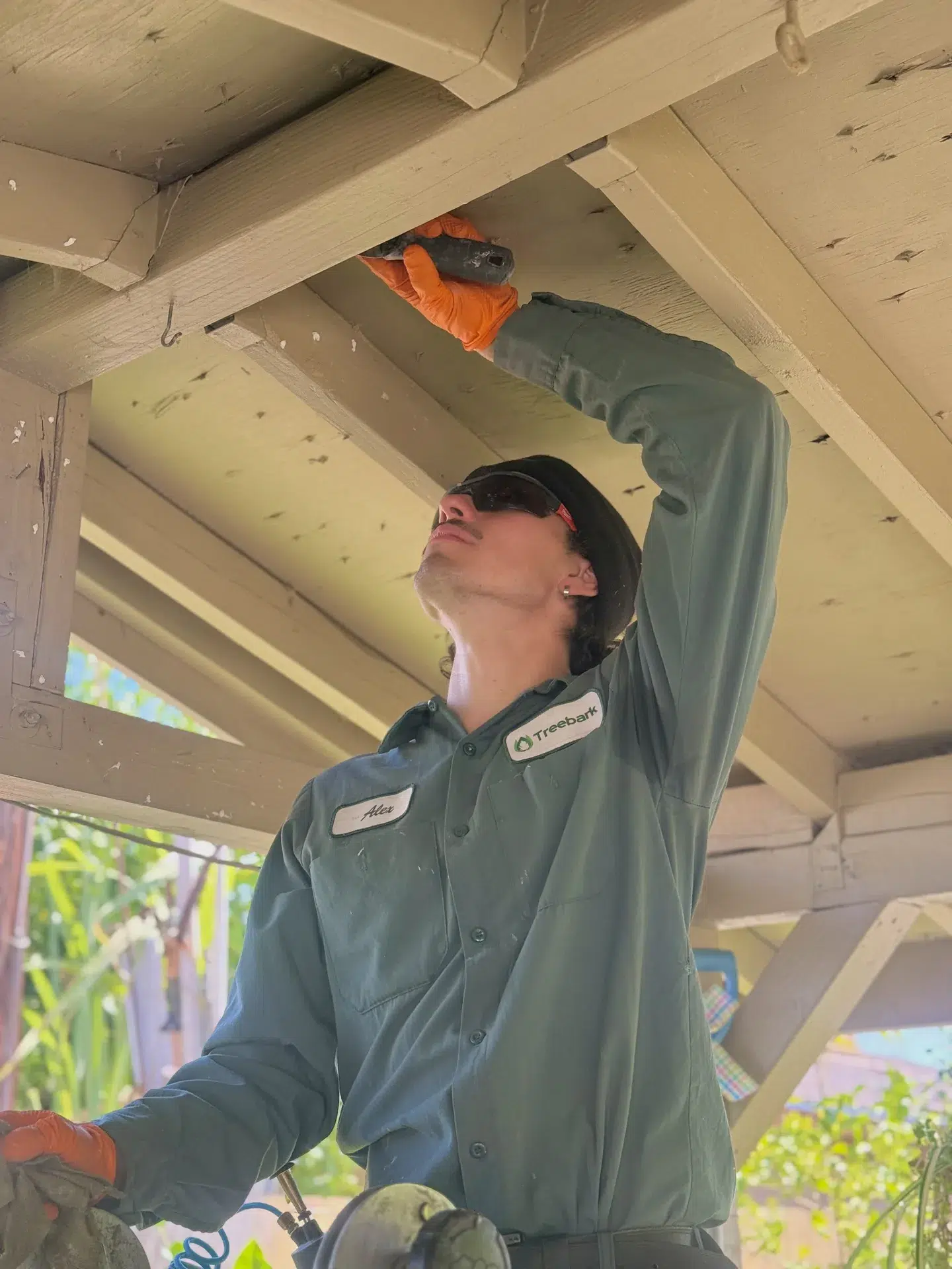 Walnut CA Treebark technician attic pest inspection
