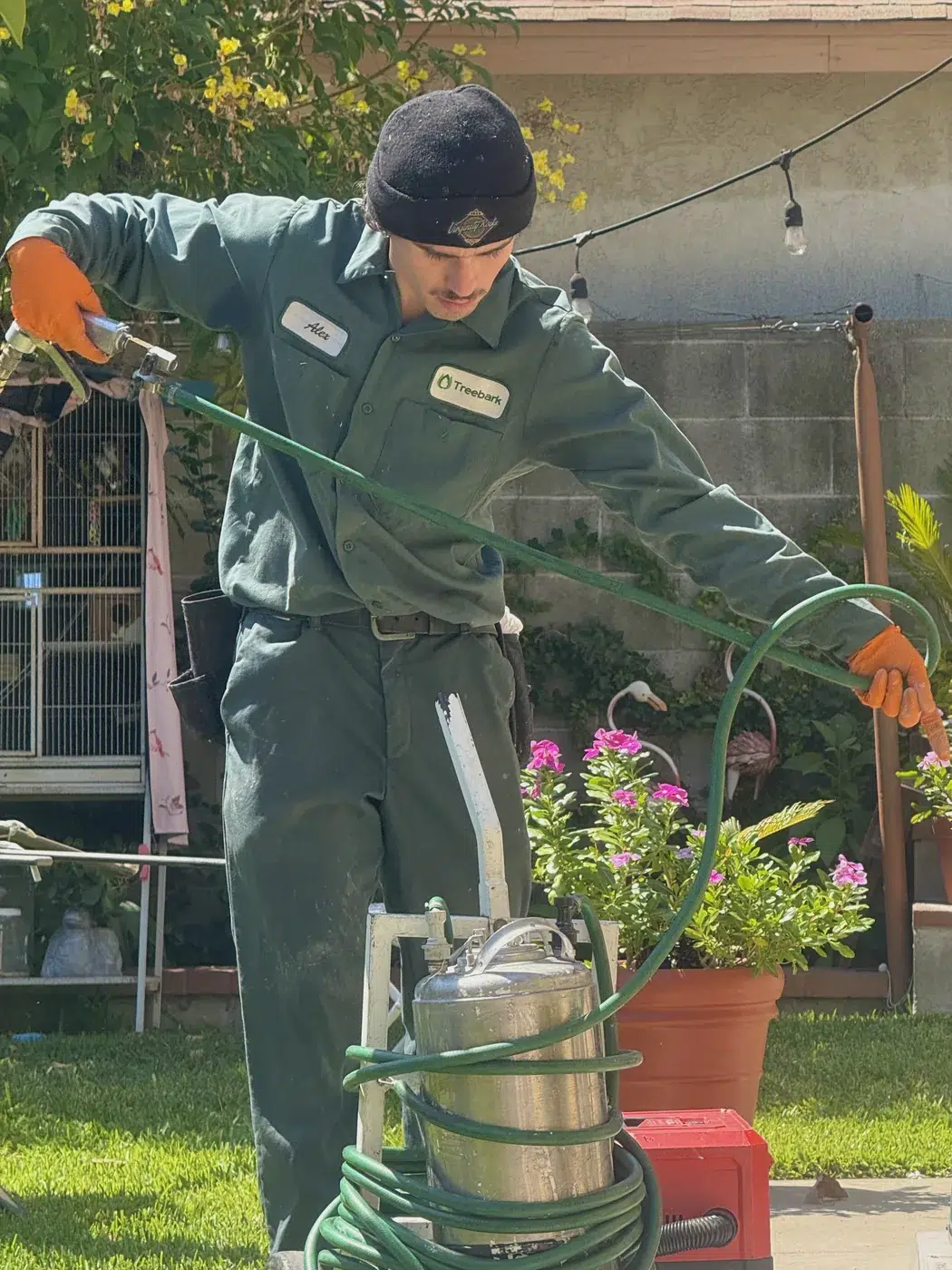 Dana Point pest control technician spraying backyard